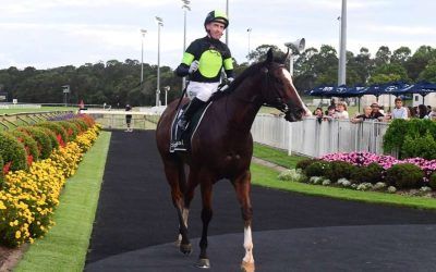 The Week Ahead Jan 28