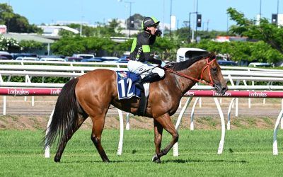 The Week Ahead Feb 4