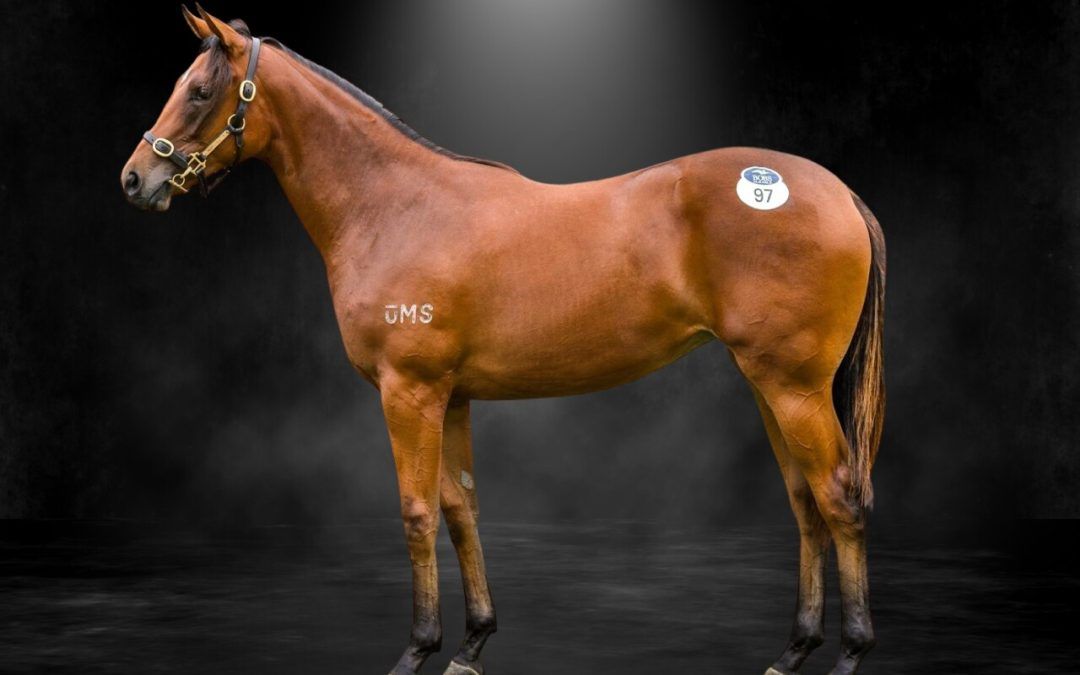 St Mark’s Basilica X Jeweliana