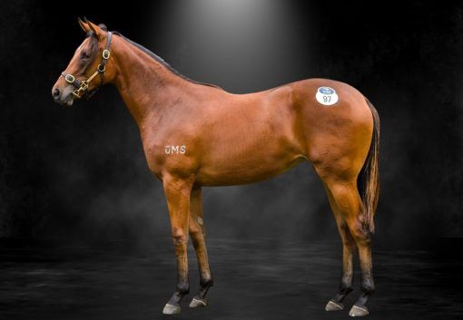 St Mark's Basilica X Jeweliana