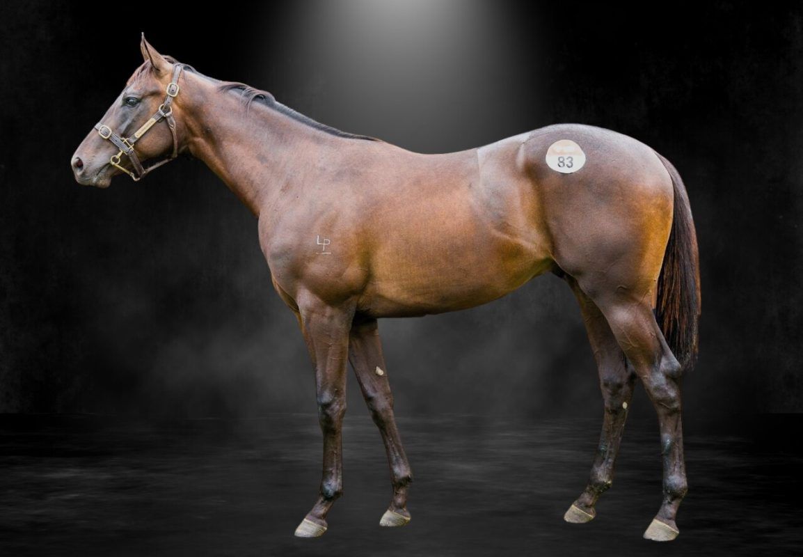 Shamus Award X Ingrid