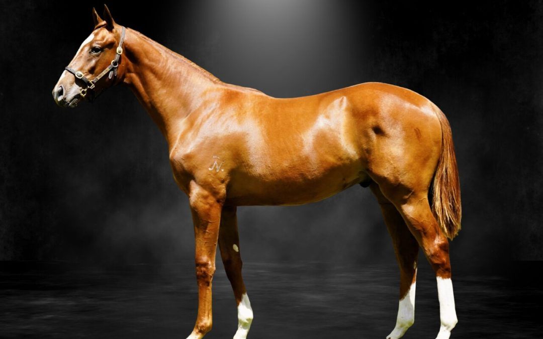 Top Ranked X Annamarie