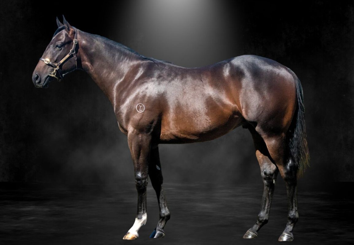 Diatonic X Diamond Delight