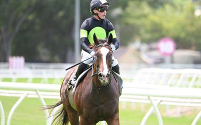 The Week Ahead Feb 11