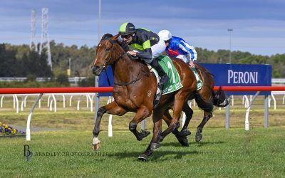 The Week Ahead Feb 18