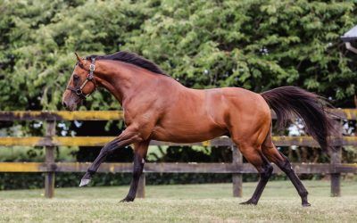 SUPERcharged SETH coming to Australia