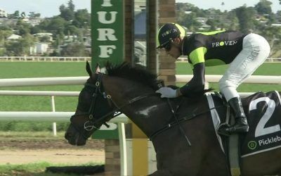 MELTDOWN burning bright!