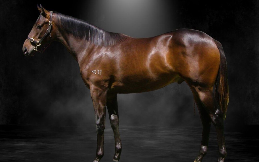 Shamus Award X Give Me Hope