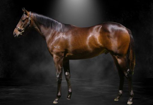 Shamus Award X Give Me Hope