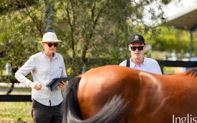 Fab 5 from Inglis Premier 2026