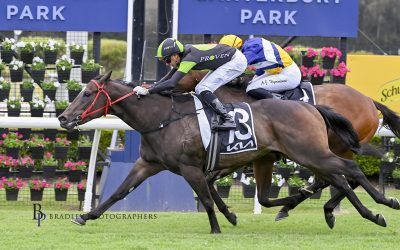 The Week Ahead Mar 11