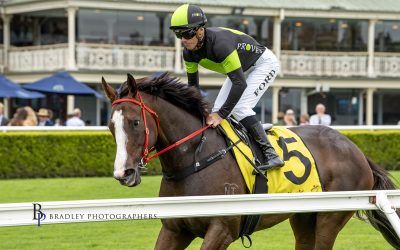 The Week Ahead Mar 18