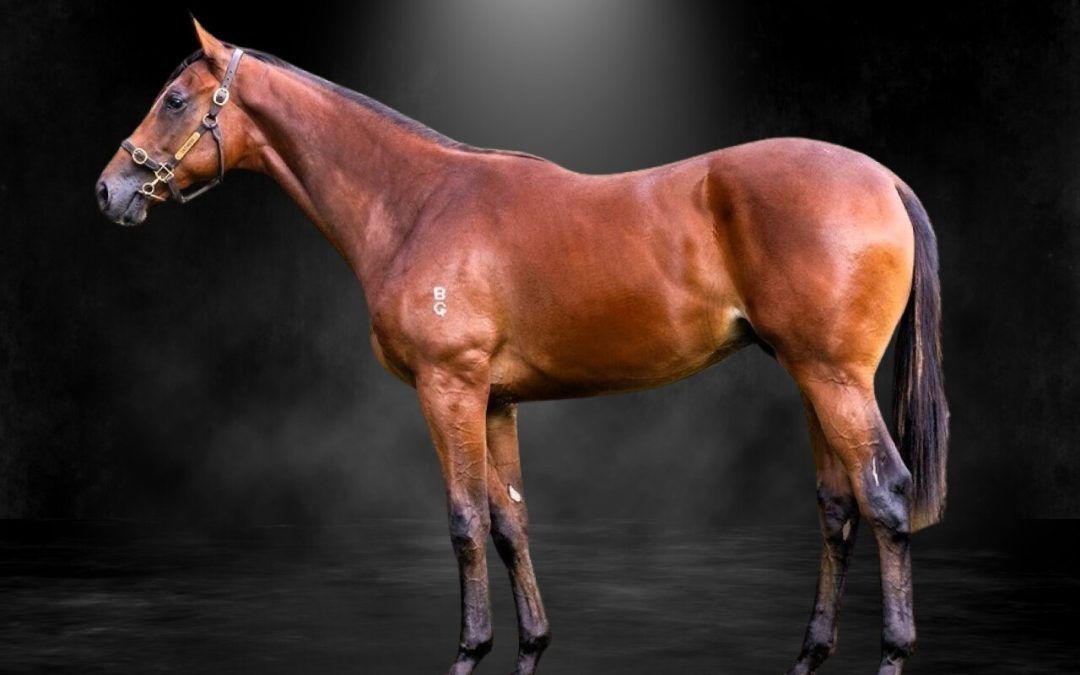 Grunt X Touch A Cloud