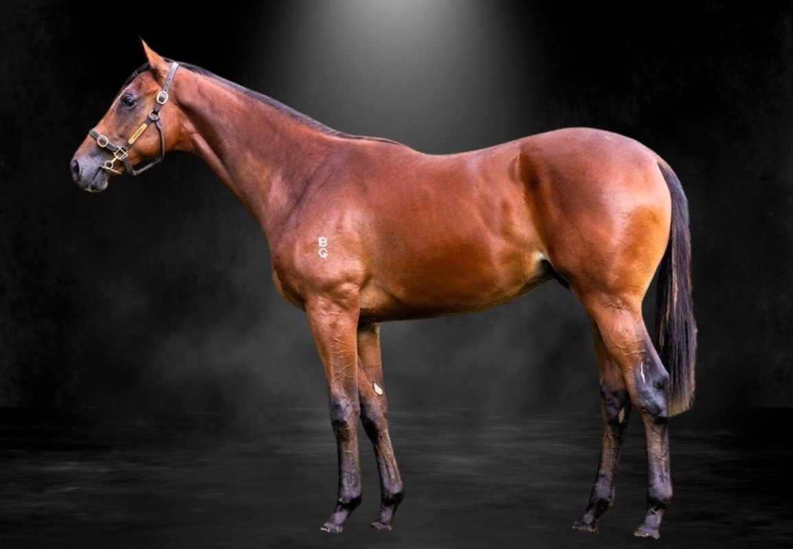 Grunt X Touch A Cloud