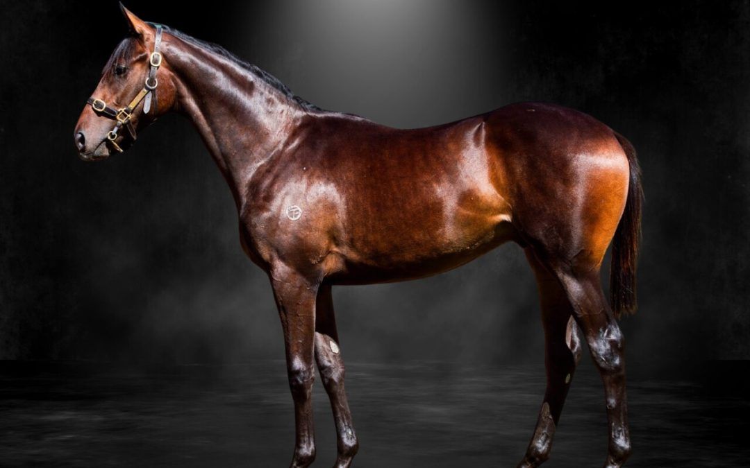 Grunt X Wichita Woman