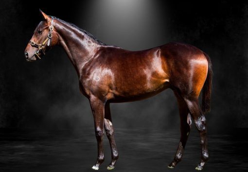 Grunt X Wichita Woman