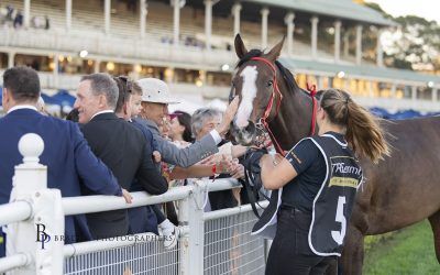 IN FLIGHT to 7 figures!