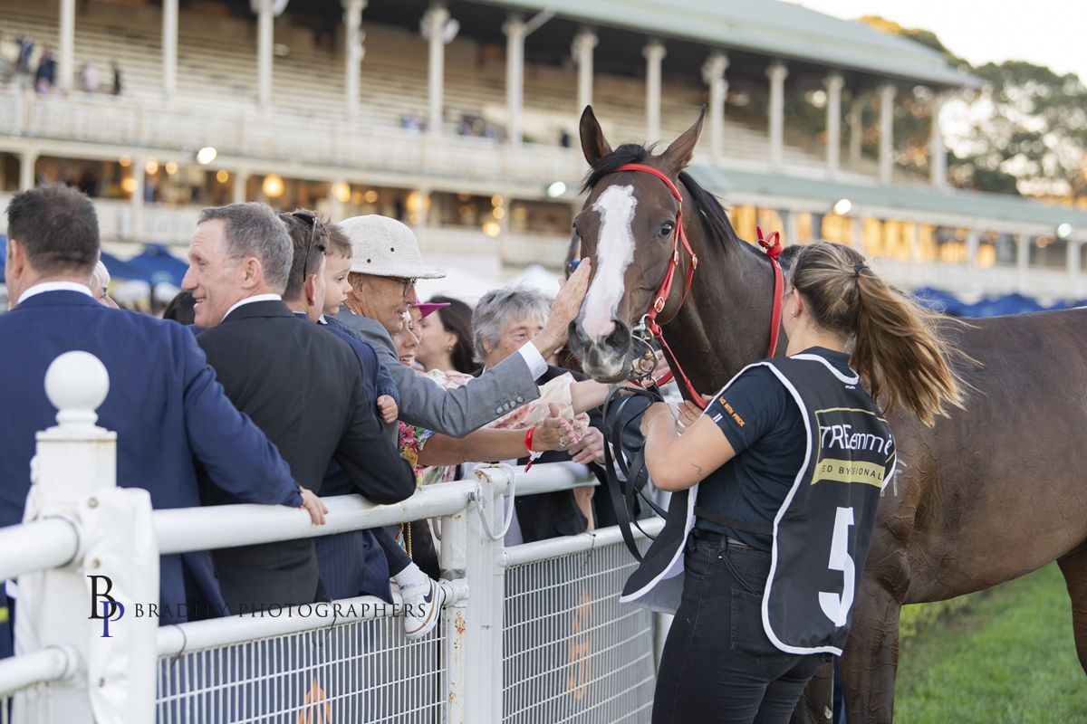 IN FLIGHT to 7 figures! - Proven Thoroughbreds