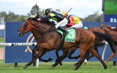 The Week Ahead Apr 22