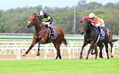 PONTEVICO defies the odds!