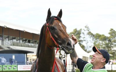 STOCKMAN rides off into retirement