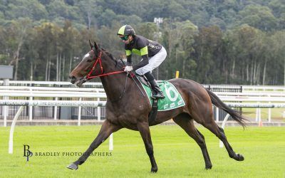 The Week Ahead Jun 24