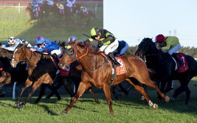 INDEFENSIBLE guilty of winning!