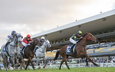 The Week Ahead Aug 19