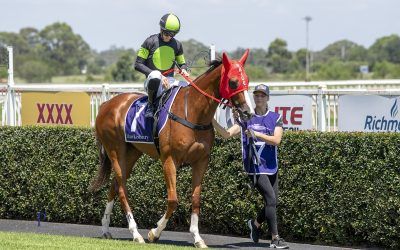 The Week Ahead Sep 9