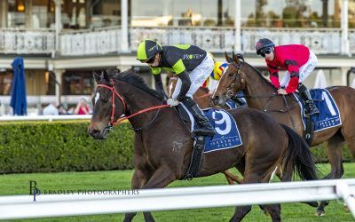 The Week Ahead Sep 30