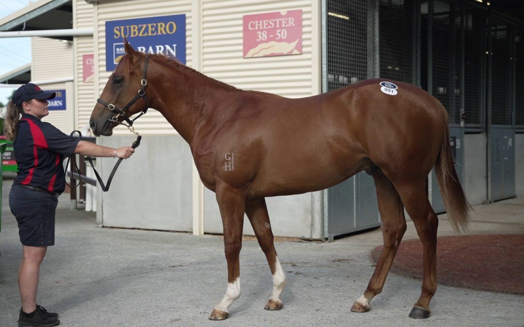 Winsome Star