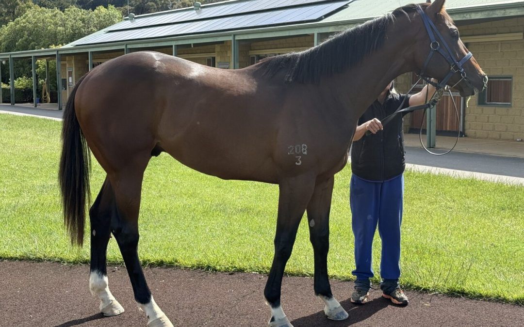 Ole Kirk – Costume