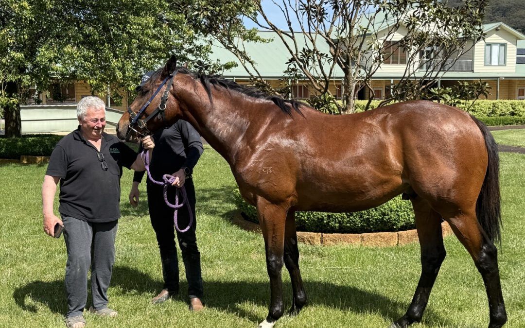 Overshare – My Paige Three