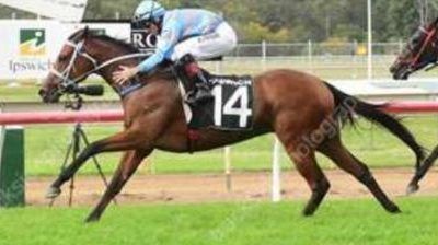 Bettabet Red wins her Queensland debut