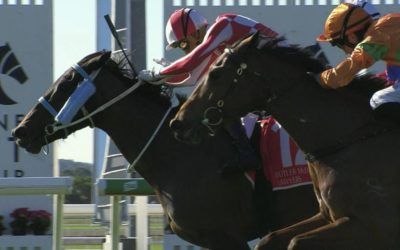 Kiwi import Kind Wish, records first local win