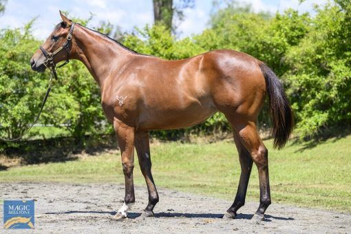 Un-named (Toronado - Queen Of The Air)