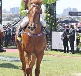 ARCTIC COMMAND wins the Gr3 Maribynong Plate for 2YO’s at Flemington.