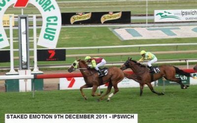 STAKED EMOTIONS WINS IPSWICH