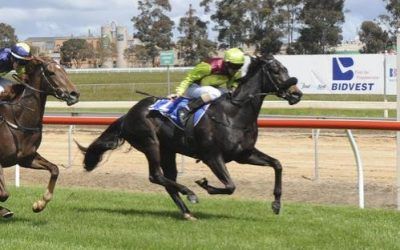 FLYING KYLE WINS PAKENHAM MAIDEN 1300M