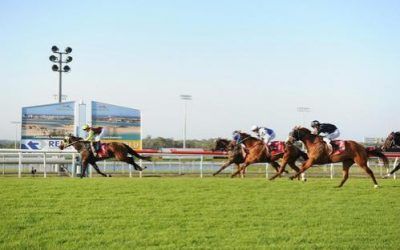 TANGO KING WINS SUNSHINE COAST CLASS 1 1400m