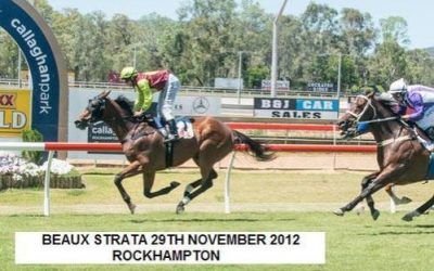 BEAUX STRATA WINS THREE ON THE TROT