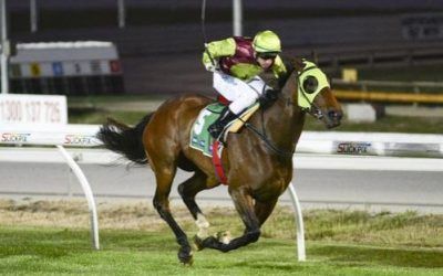 GRACIOUS GODDESS WINS 1600M MAIDEN CRANBOURNE