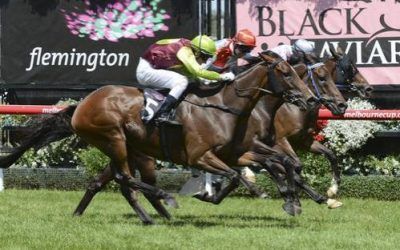 BELLS OF TROY WINS FLEMINGTON Open 2000m