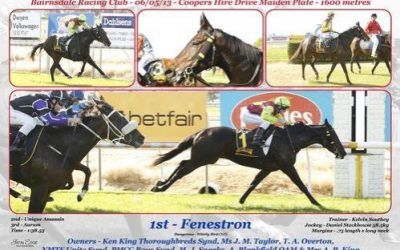 FENESTON WINS Maiden 1600m BAIRNSDALE