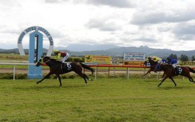 I’M ADAMANT WINS MURWILLUMBAH