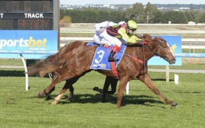 IMPECCABLE ME WINS 2YO SV GOLD MAIDEN BALLARAT