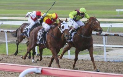 VICTORIAN CROWN WINS GEELONG MAIDEN 1300M