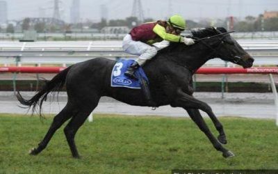 LATE CHARGE WINS 2YO RIVERDALE PLATE at FLEMINGTON OVER 1400m