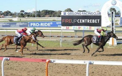 FENESTRON WINS GEELONG R58 2000M