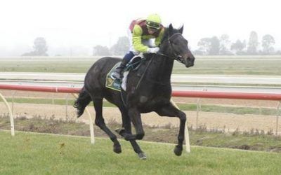 LATE CHARGE WINS ECHUCA 2YO SV GOLD MAIDEN 1200m